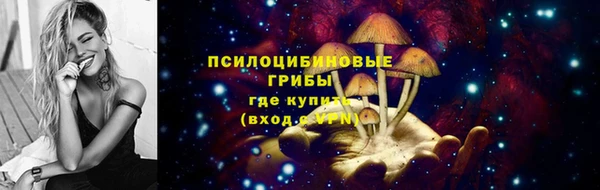 дживик Верея