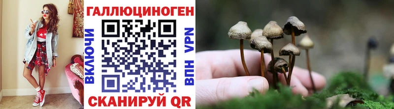 Псилоцибиновые грибы Cubensis  как найти   Карпинск 